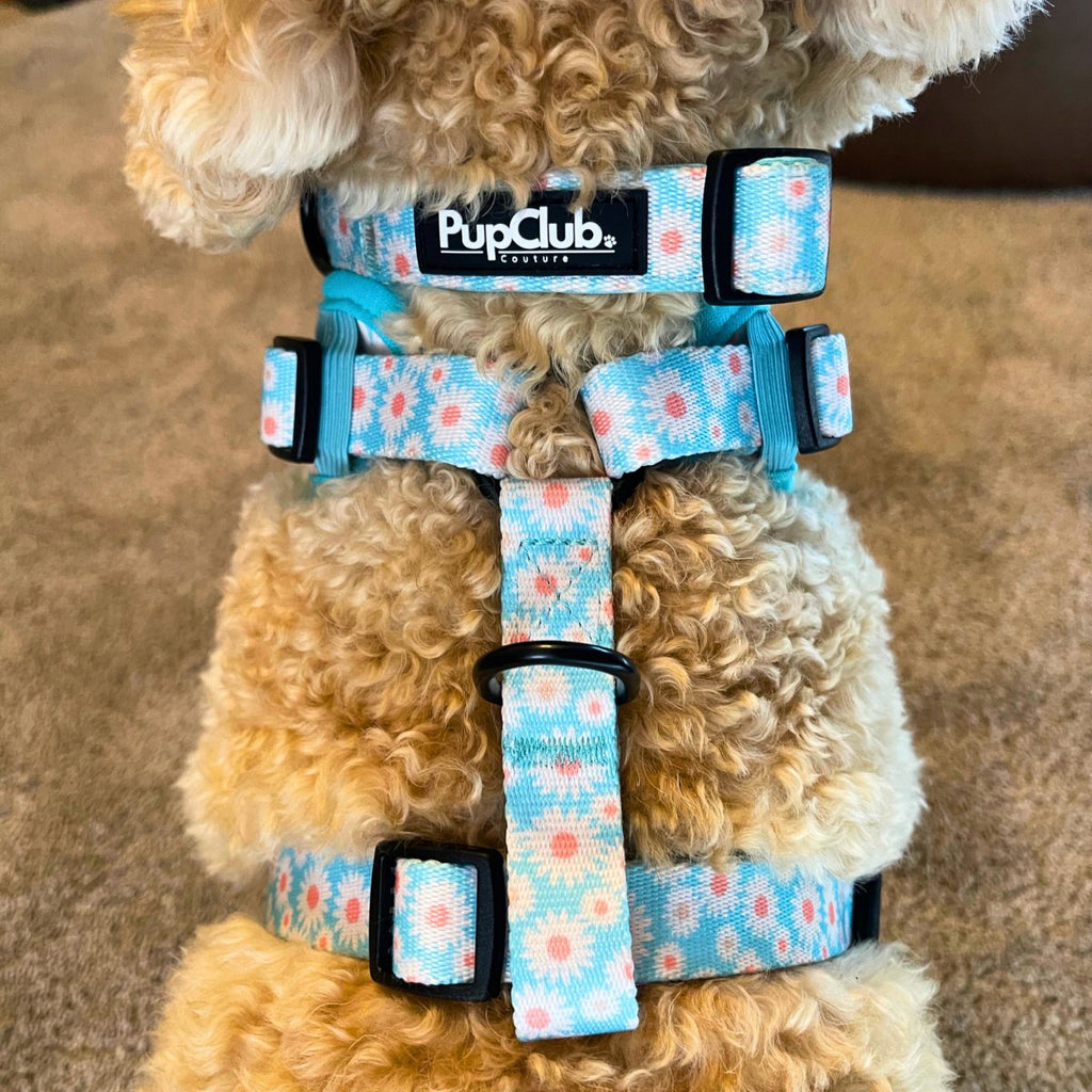 Adjustable Harness - Pastel Daisy