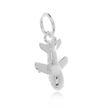 Aeroplane Silver Charm