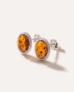 Amber Quintessence Stud Earrings