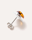 Amber Quintessence Stud Earrings