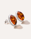 Amber Quintessence Stud Earrings