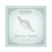 Charm ala d'angelo in argento