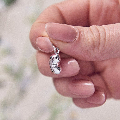 Baby Bean Silver Charm