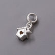 Bird House Silver Charm