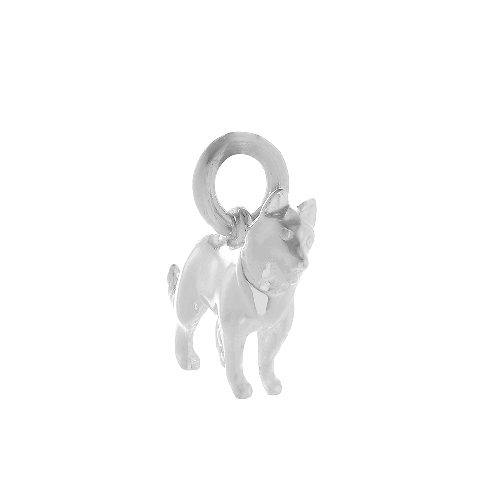 Border Collie Zilveren Honden Bedel