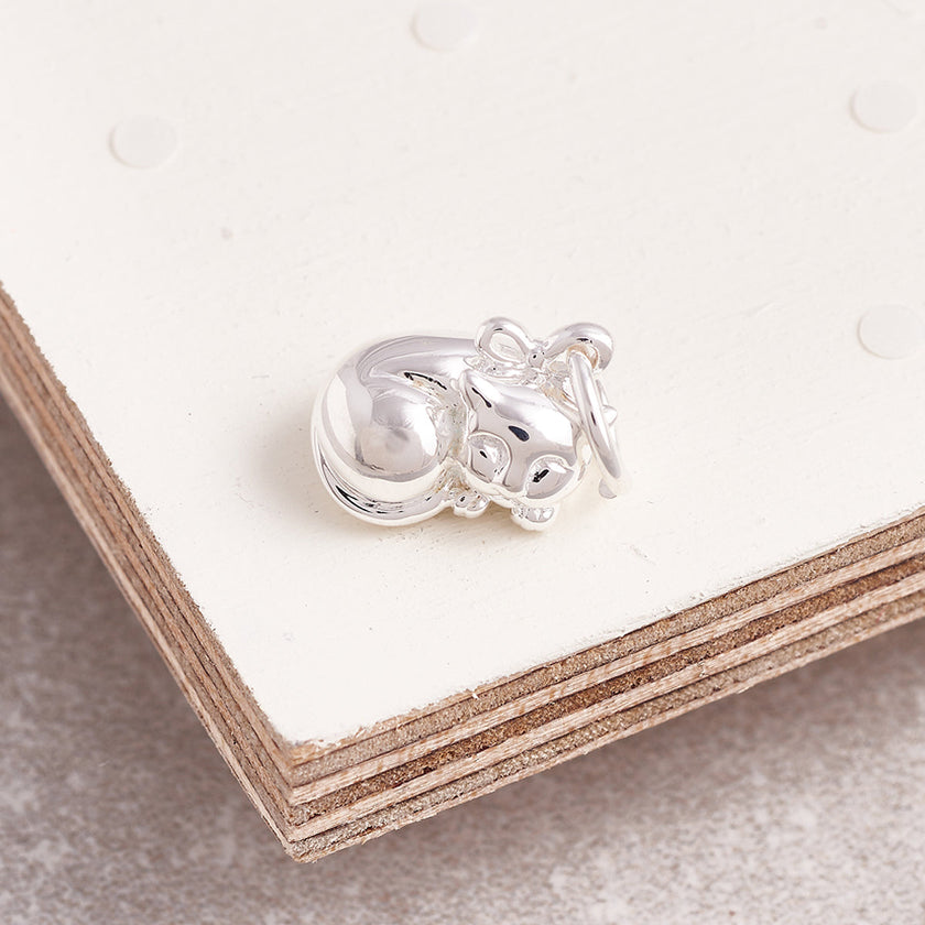 Cat Silver Charm
