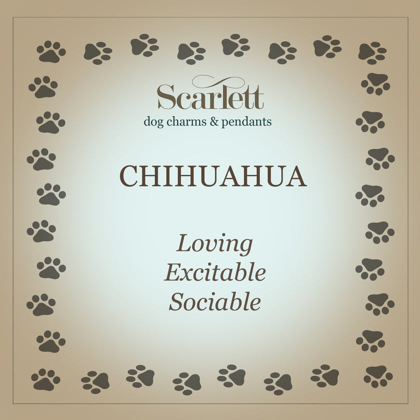 Chihuahua Personalised Silver Dog Tag Necklace