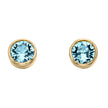 Beginnings Crystal Birthstone Earrings