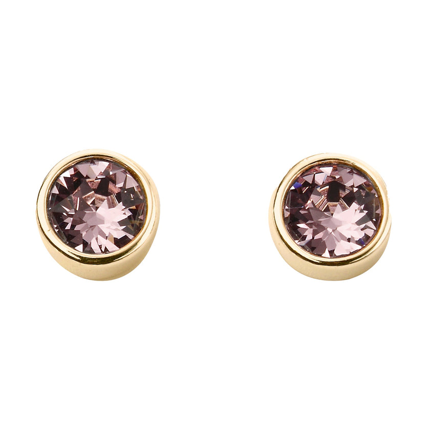 Beginnings Crystal Birthstone Earrings