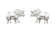 Beginnings Baby Olifant Oorknopjes