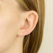 Beginnings Star Stud Earrings with Cubic Zirconia