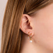 Diamonfire Assembled Hoop Earrings with Drop