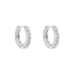 Beginnings Crystal Hoop Earrings