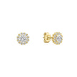 Diamonfire Halo Stud Earrings