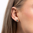 Diamonfire Brillantohrstecker mit Krappenfassung