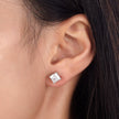 Classic Square Stud earrings