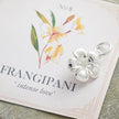 Frangipani-Blüten-Silberanhänger