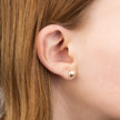 Elements Gold Hexagon-Ohrstecker
