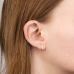 Elements Gold Feather Stud Earrings