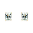 Elements Gold Octagonal Fancy Cut Amethyst Stud Earrings