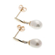 Elements Gold Freshwater Pearl and Diamond Drop Earrings