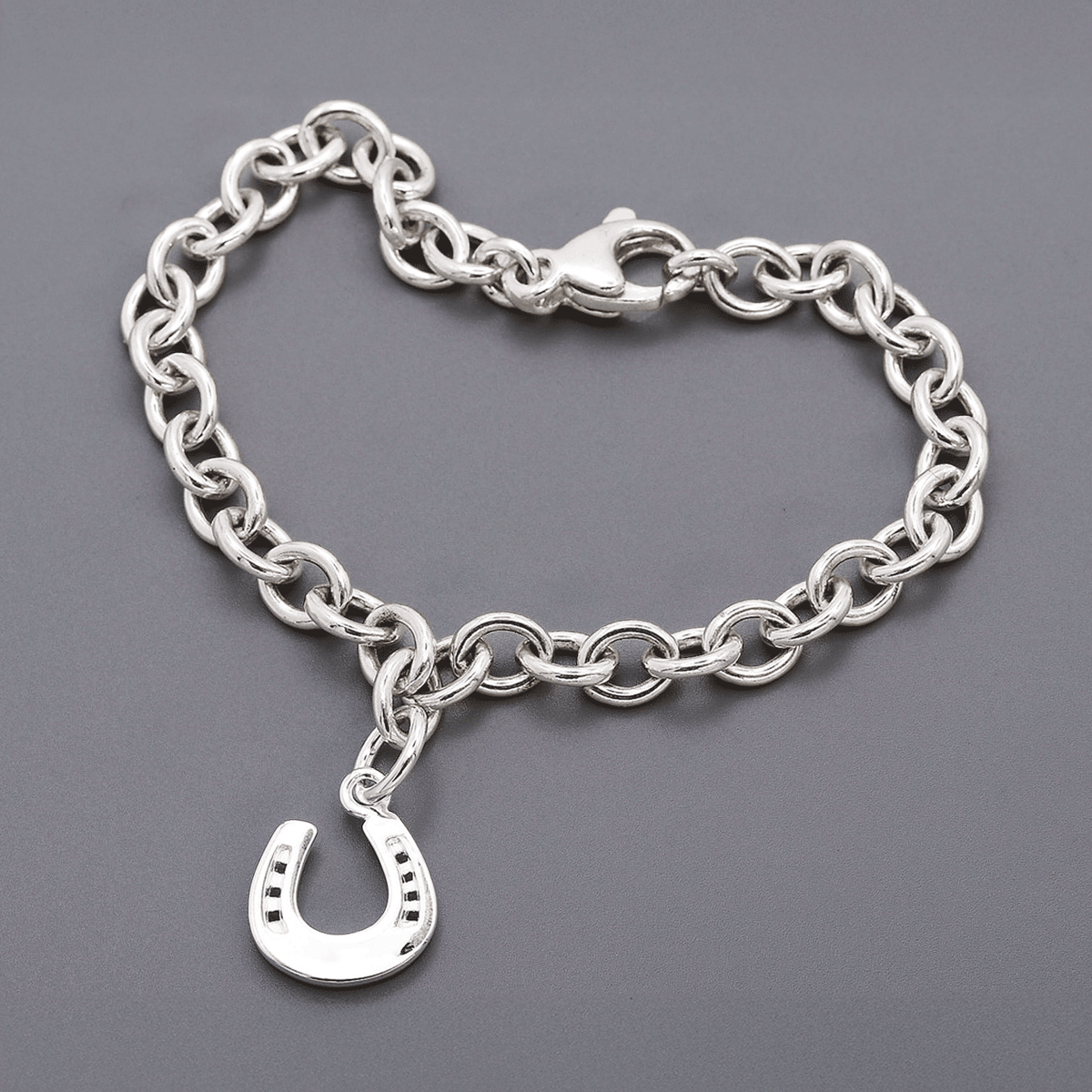 Fer à Cheval Porte-Bonheur en Argent
