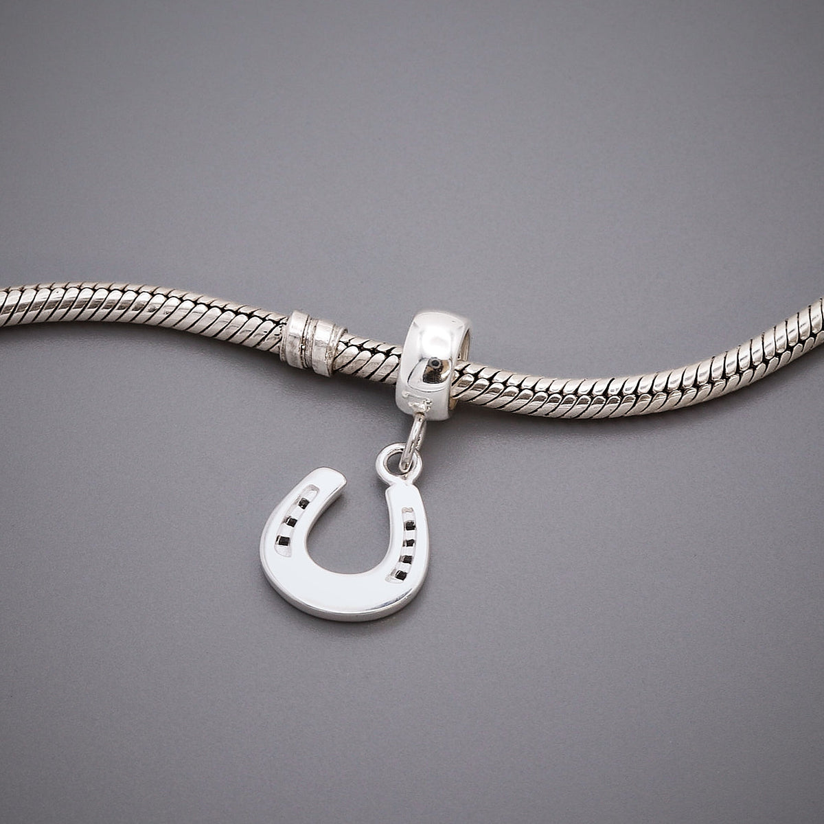 Fer à Cheval Porte-Bonheur en Argent