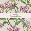 Laura Ashley Silver Thornage Flowers Stud Earrings