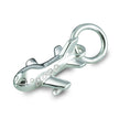 Aeroplane Silver Charm