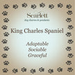 King Charles Spaniel Personalised Silver Dog Tag Necklace