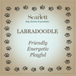 Labradoodle Personalised Silver Dog Tag Necklace