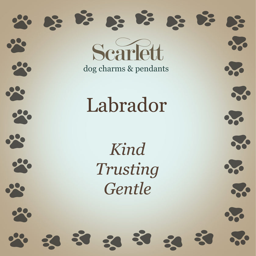 Labrador Personalised Silver Dog Tag Necklace