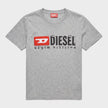 Logo T-Just Divstroyed T-Shirt Grey