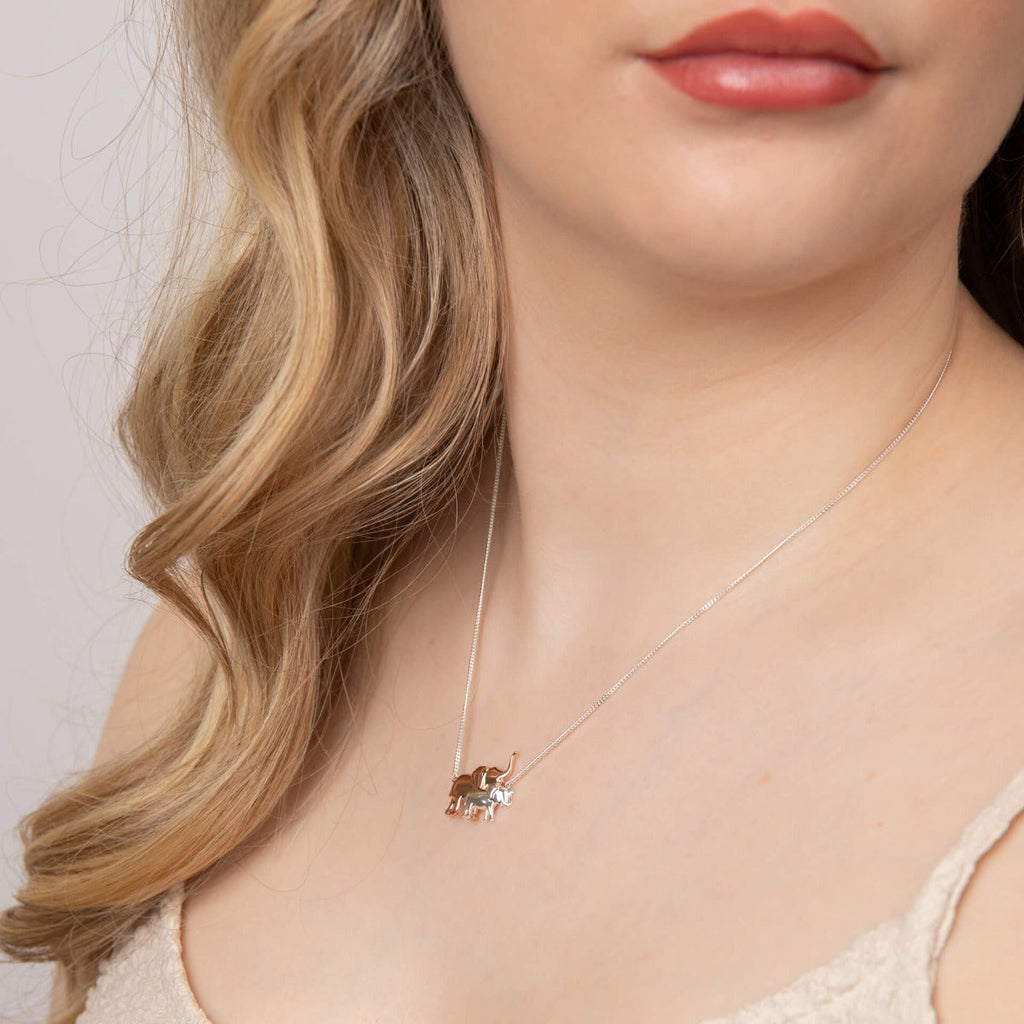 Beginnings Mum and Baby Elephant Necklace with Rose Gold Plated Detail