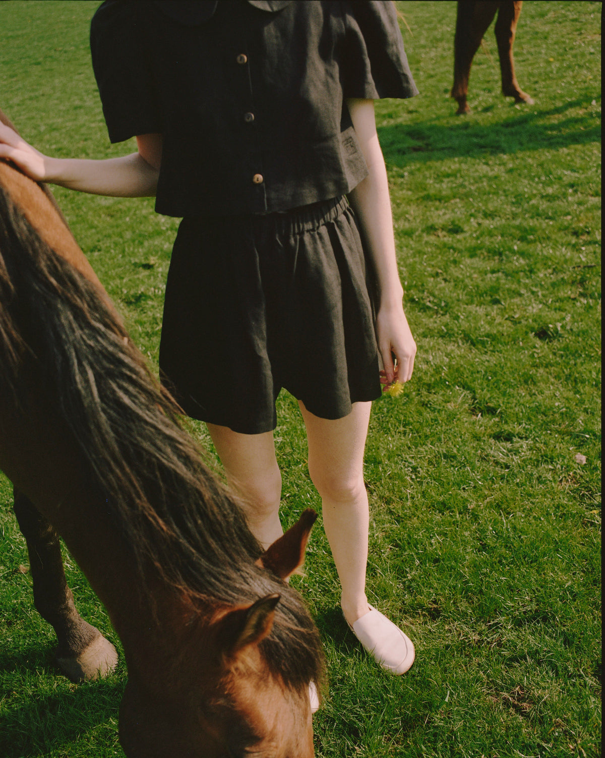 Olivia Linen Shorts  - Black