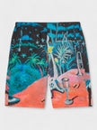 Palm Angels Oil On Canvas Long Swimshorts Multi
