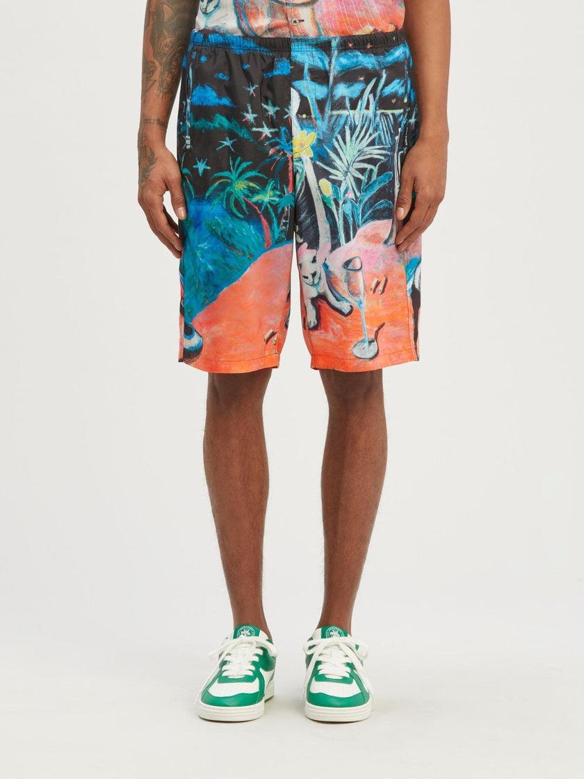 Palm Angels Oil On Canvas Long Swimshorts Multi
