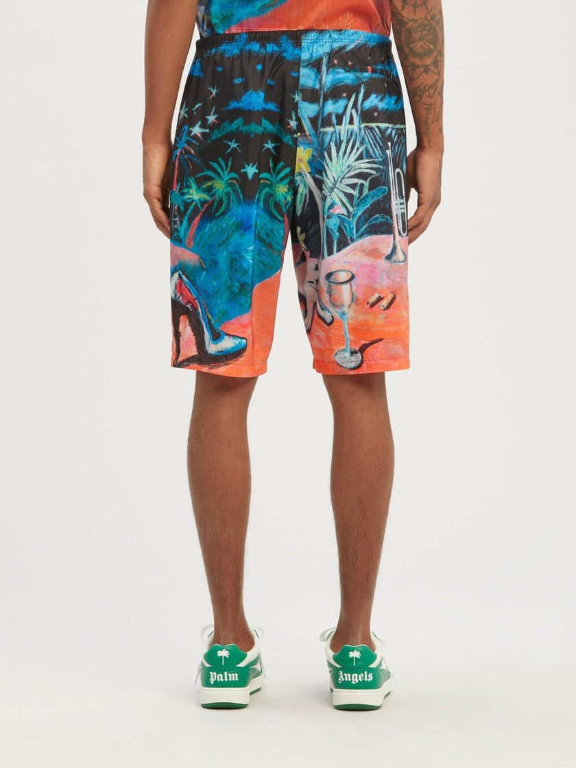 Palm Angels Oil On Canvas Long Swimshorts Multi