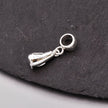 Penguin Silver Charm