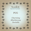 Pug Personalised Silver Dog Tag Necklace