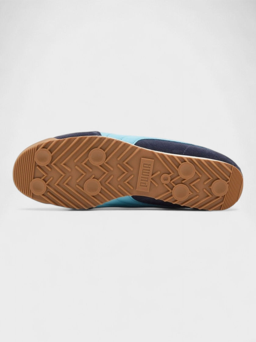 Noah Arizona Navy
