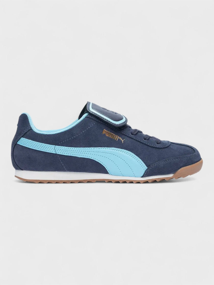 Noah Arizona Navy