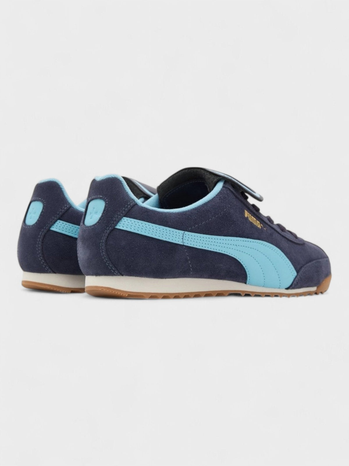 Noah Arizona Navy