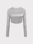 Rabanne Cropped Long Sleeve Top Silver