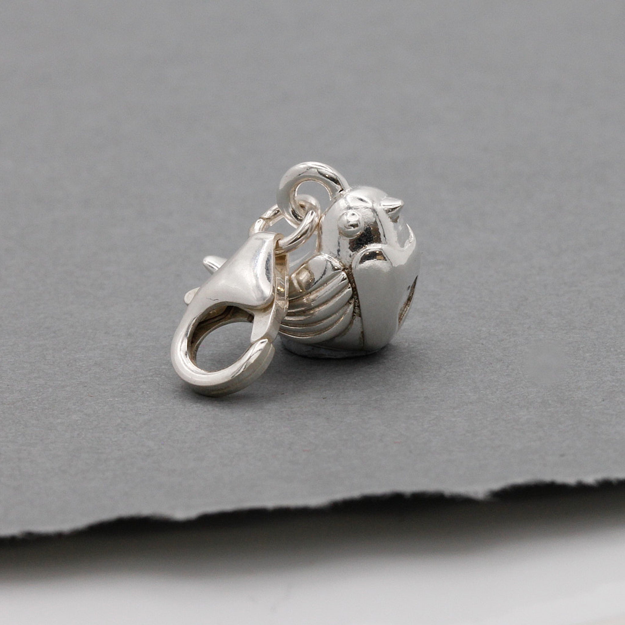 Robin Silver Charm