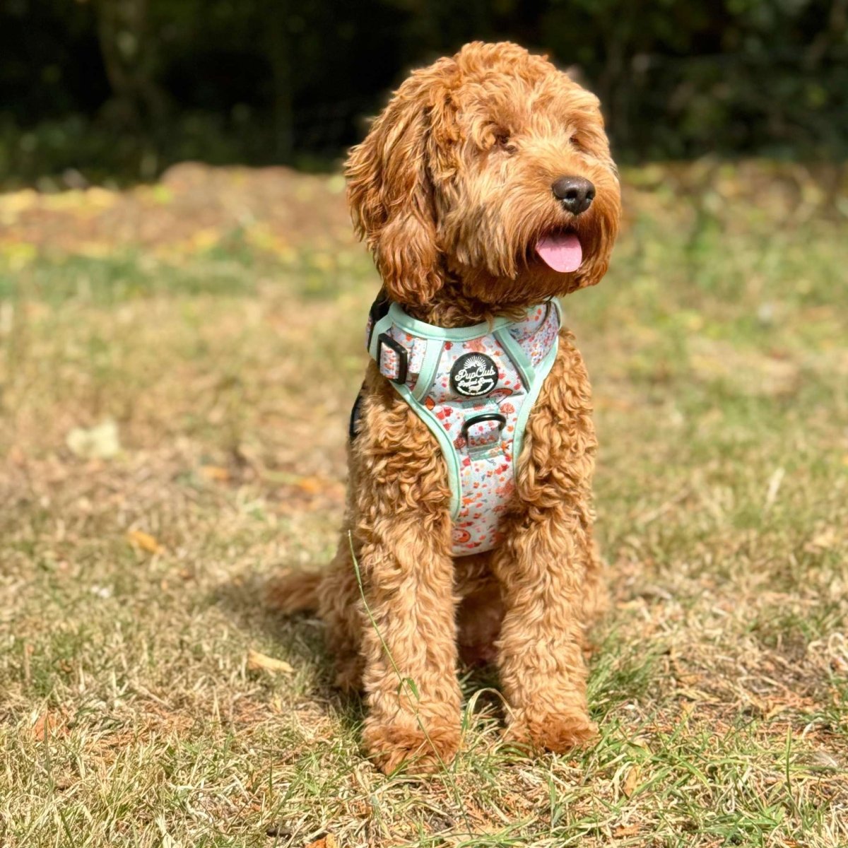 Rugged Rover™ Harness - Woodland Friends