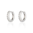 Huggie Earrings with Clear Stones