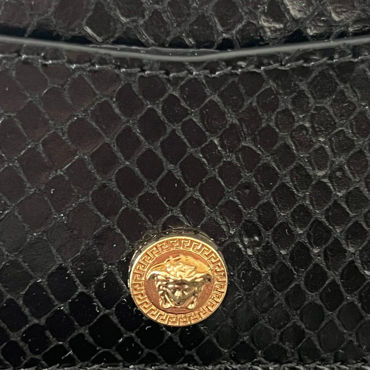 Medusa Head Cardholder Ayer Black
